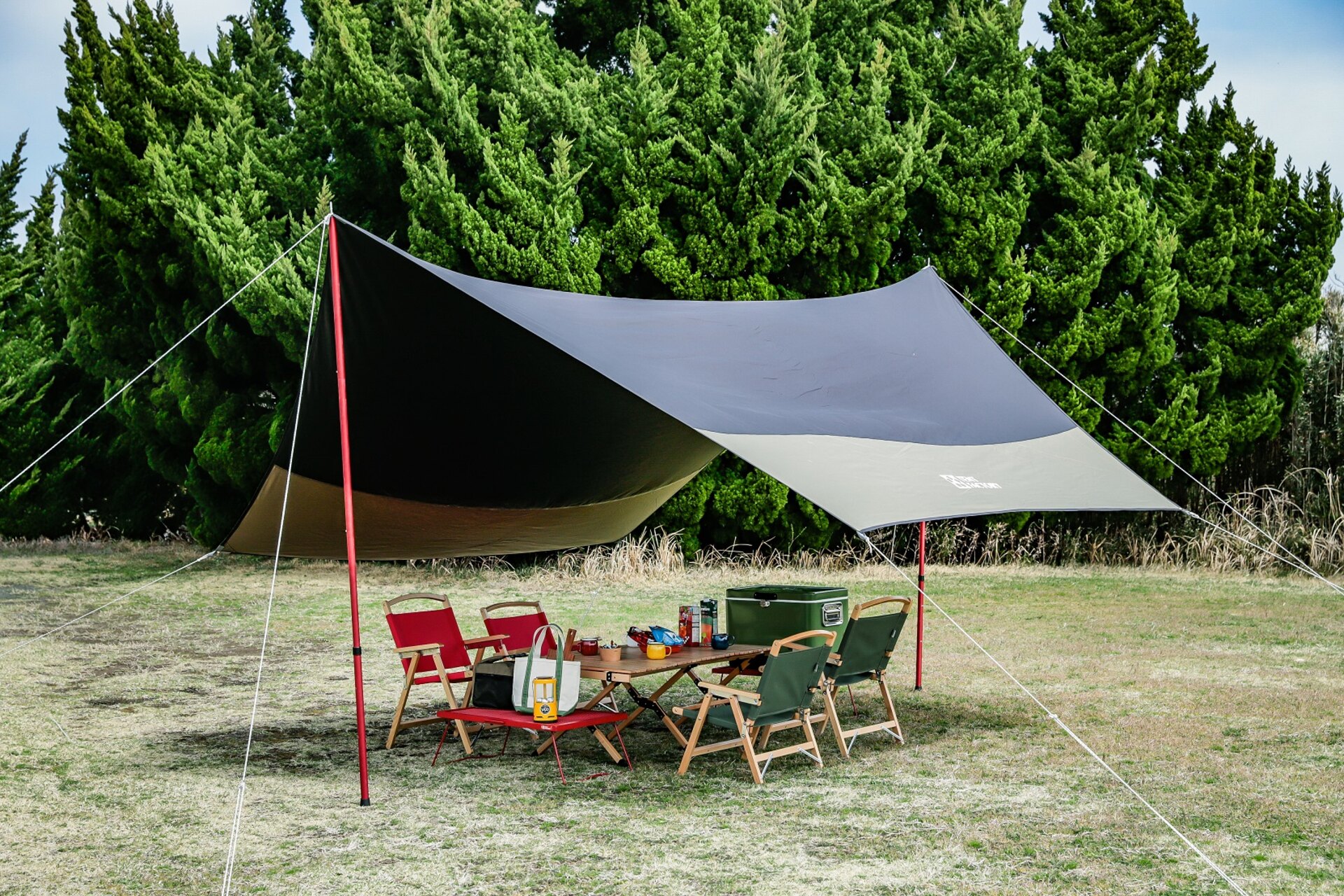 TARP